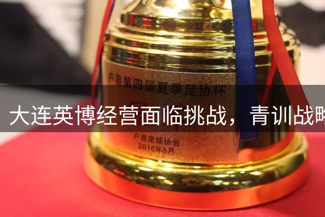 大连英博经营面临挑战，青训战略助力未来发展