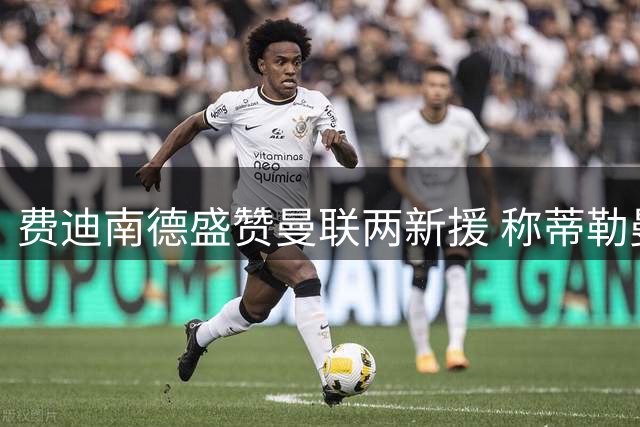 费迪南德盛赞曼联两新援 称蒂勒曼斯物超所值