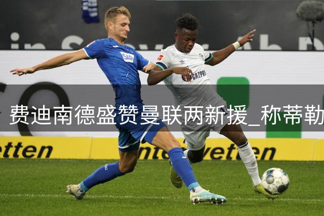 费迪南德盛赞曼联两新援 称蒂勒曼斯物超所值